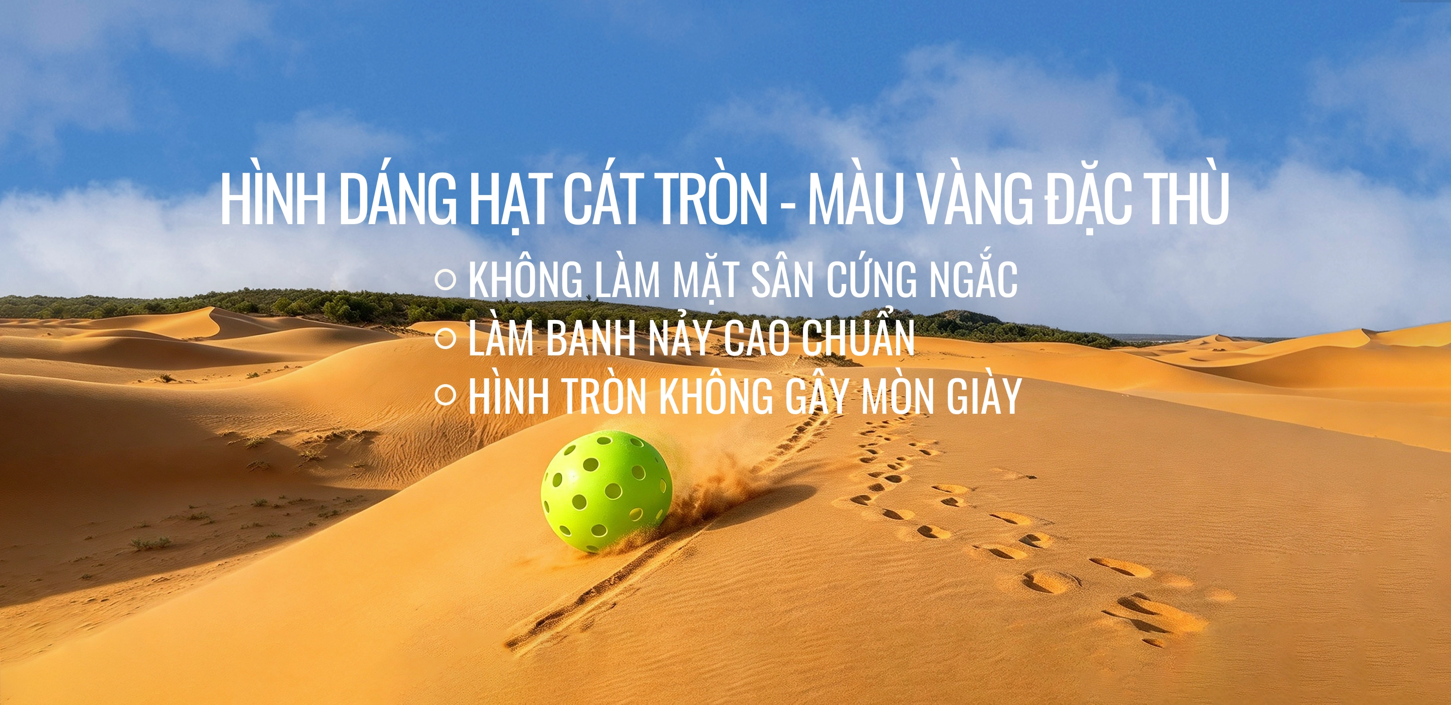 SÂN PICKLEBALL